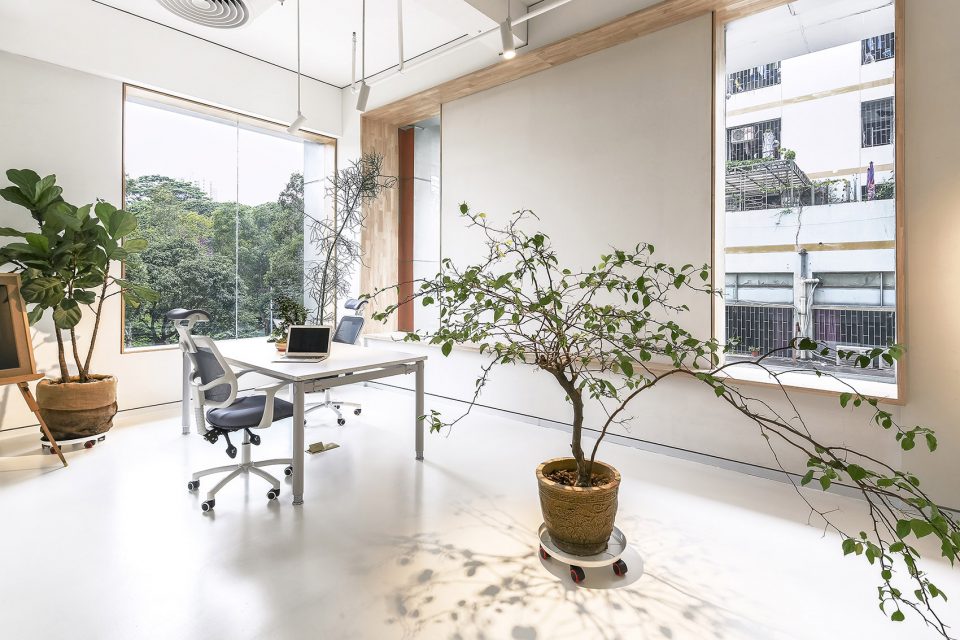 辦公室綠植裝修設(shè)計